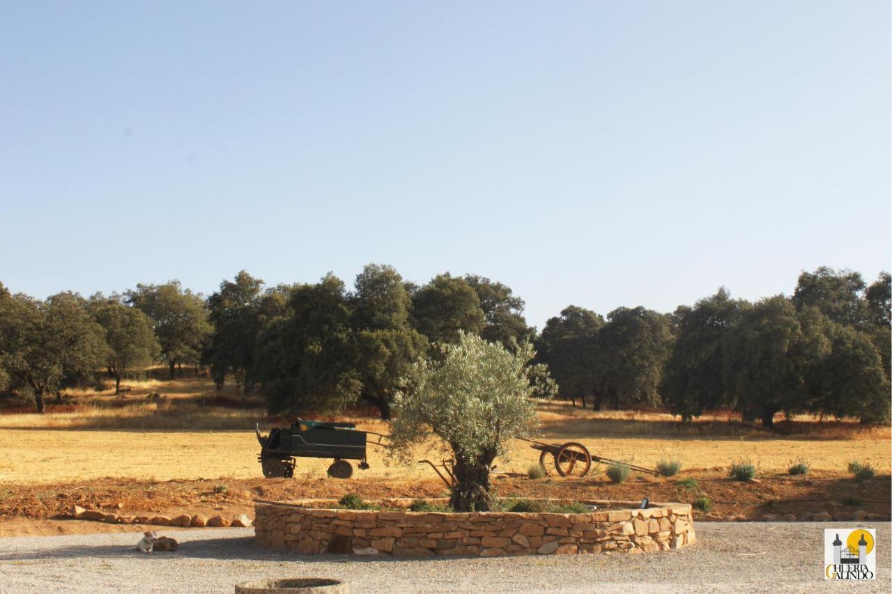 Cortijo Huerta Galindo Guest House Alanís Екстериор снимка