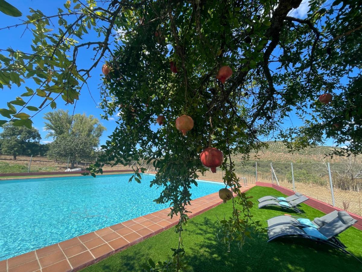 Cortijo Huerta Galindo Guest House Alanís Екстериор снимка