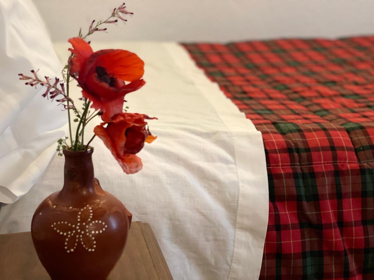 Cortijo Huerta Galindo Guest House Alanís Екстериор снимка