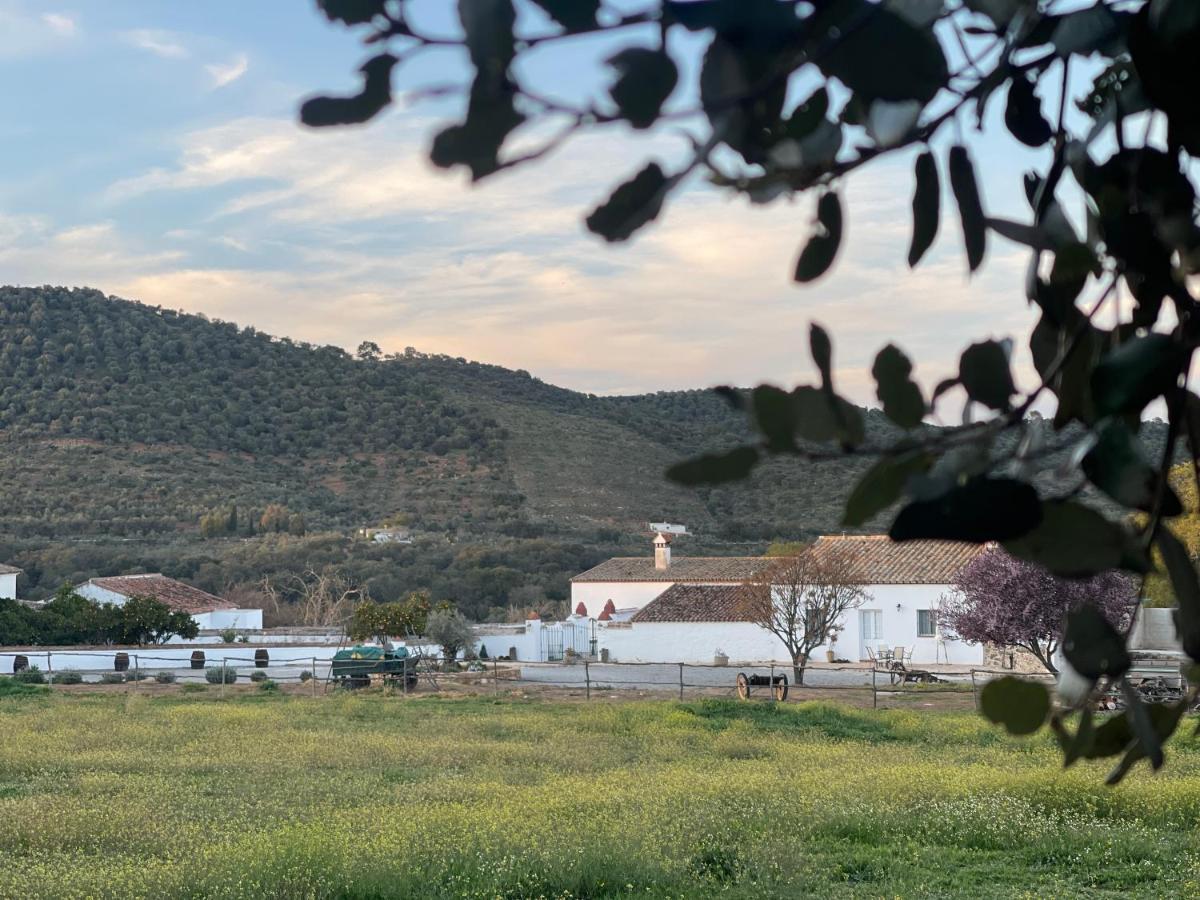 Cortijo Huerta Galindo Guest House Alanís Екстериор снимка