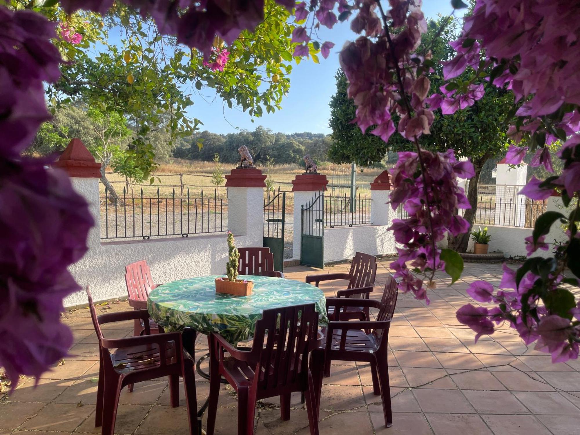 Cortijo Huerta Galindo Guest House Alanís Екстериор снимка